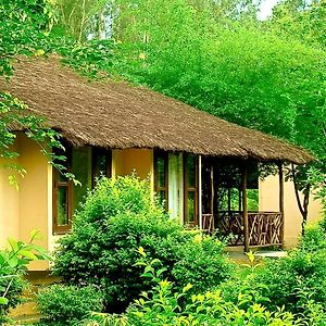 Family Cottage